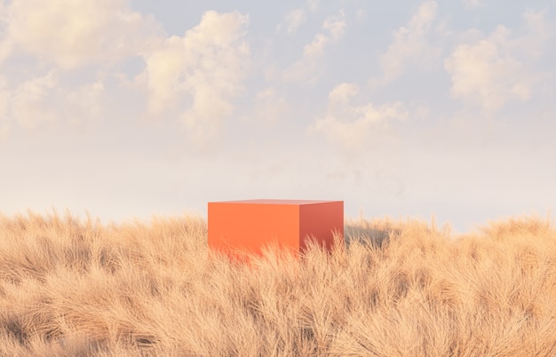 autumn scene with podium in the field