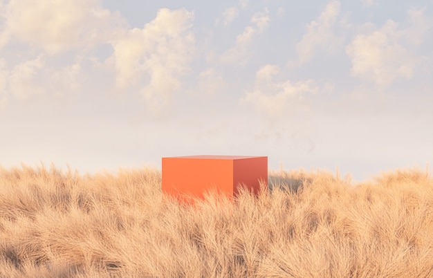 Autumn scene with podium in the field