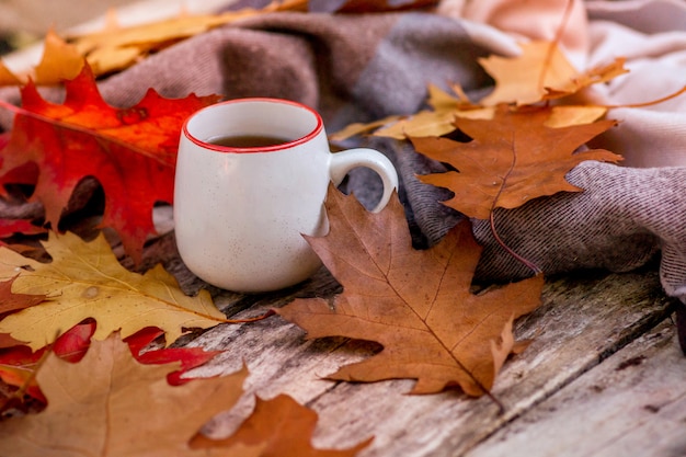 ティーカップ、紅葉と秋の風景。明るい紅葉と感謝祭の素朴なテーブル