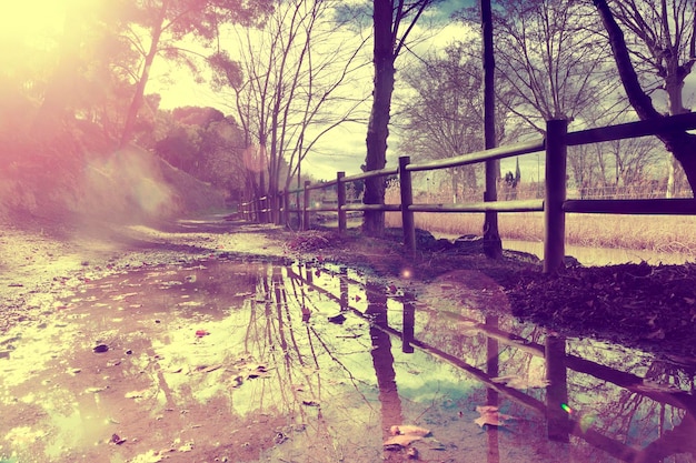 Autumn sceneryrural road and puddle