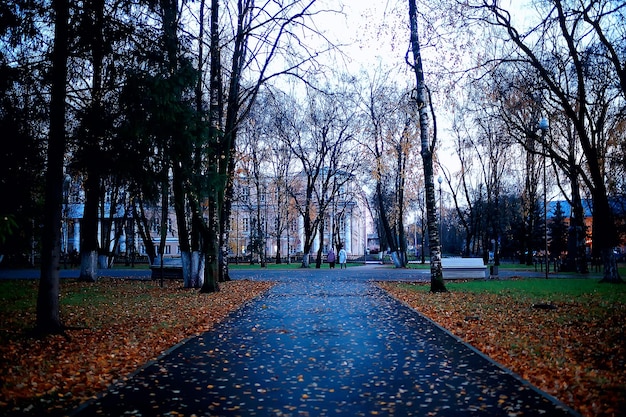 autumn season landscape in park, view of yellow trees alley background