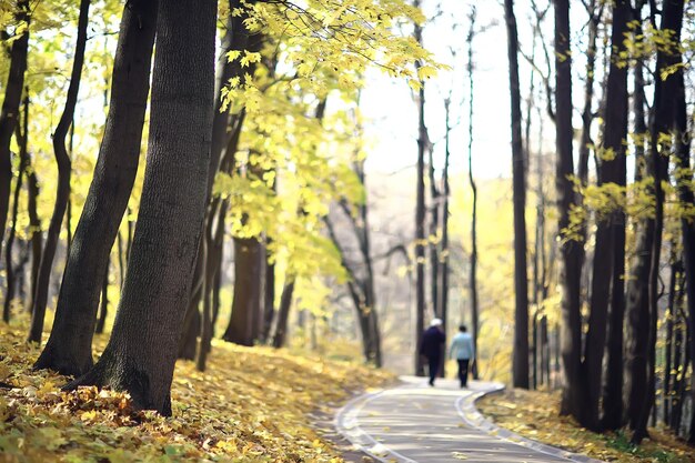 公園の秋の季節の風景、黄色の木々の路地の背景の眺め
