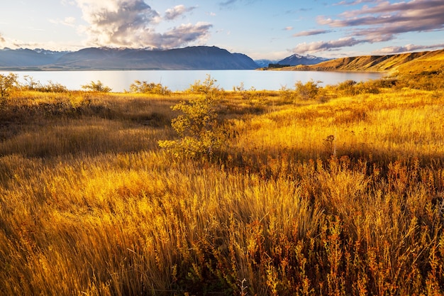 Autumn season in New Zealand mountains