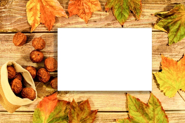 Autumn Seasonal Frame Background Top View