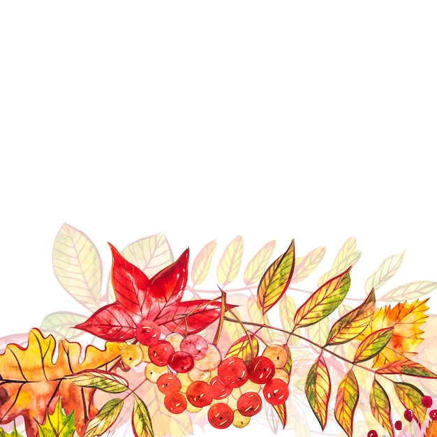 Autumn Seasonal illustrations. watercolor illustration.