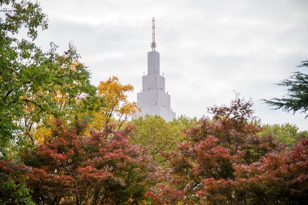 東京、新宿公園の秋