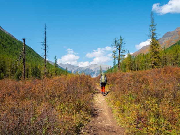 Autumn solo hike Lonely man walking in a mountain path Autumn season Active backpacker hiking in colorful nature Warm sunny day in fall Bright yellow and orange fall colors Happy traveler