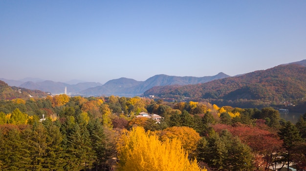 Photo autumn in south korea