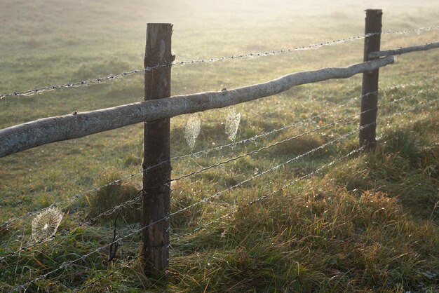 Autumn spider web on a rural fence in the morning sun light