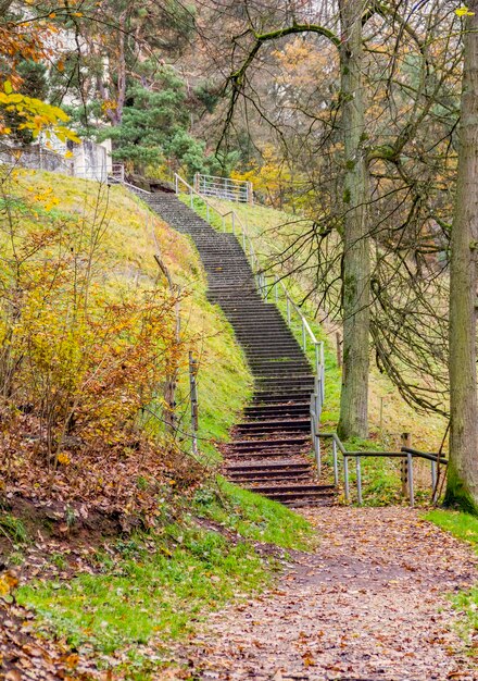 autumn stairway scenery