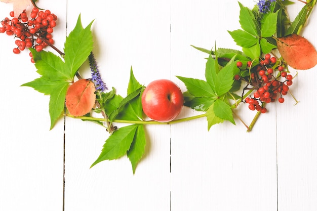 Autumn still life background. autumn flowers, apples, mountain ash