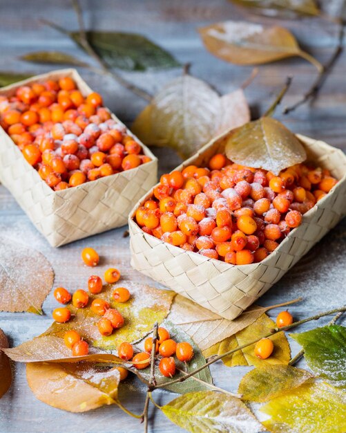 가을 정물 나무 테이블에 딸기 바구니에 바다 갈매 나무속 냉동 딸기