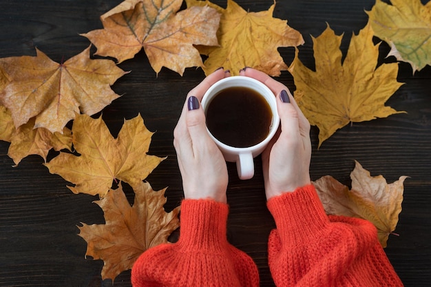 Autumn still life composition Female hands holding Cup of hot tea on fallen yellow leaves background