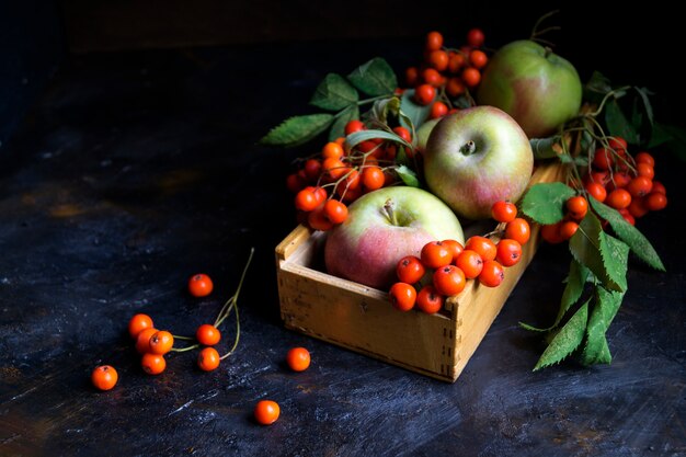 Autumn still life in dark colors.