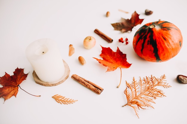 Autumn still life and frame with pumpkin leaves acorns on white background with copy space