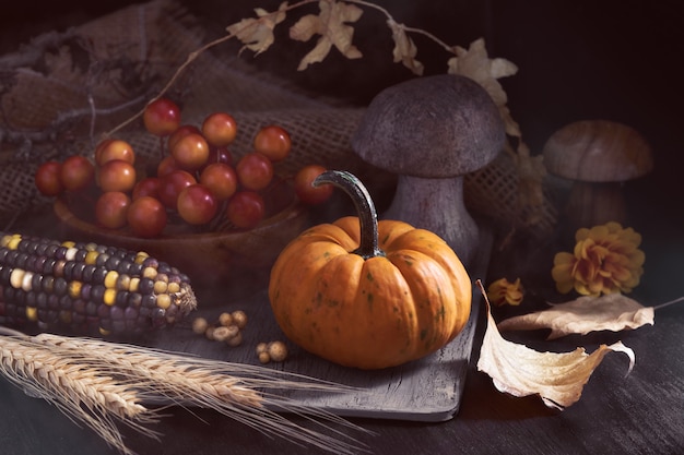 Autumn still life in low key with small orange pumpkin