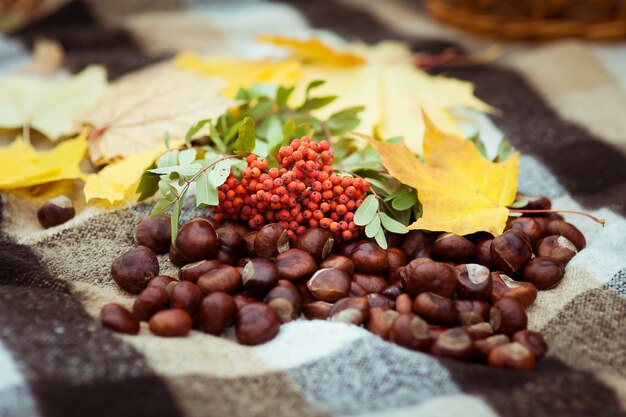 Autunno natura morta sorbo foglia d'acero una manciata di castagne