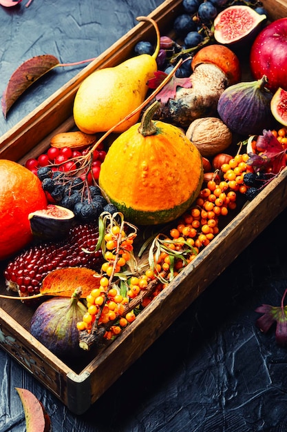 Foto autunno still life di zucche, funghi, mele, fichi e frutti di bosco.cibo stagionale