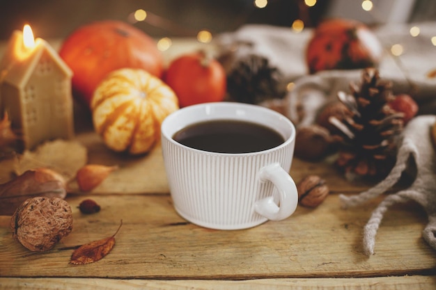 Autumn still life Warm cup of tea pumpkins fall leaves nuts cozy scarf and lights on rustic wooden table Autumn rural banner Happy Thanksgiving Hygge fall home