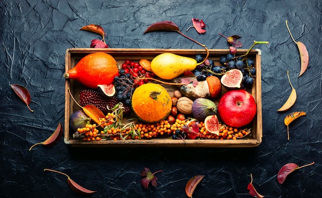 Autumn still life with autumn harvest