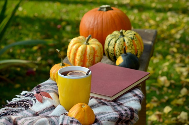 Autumn still life with a cup of tea and pumpkins in the garden