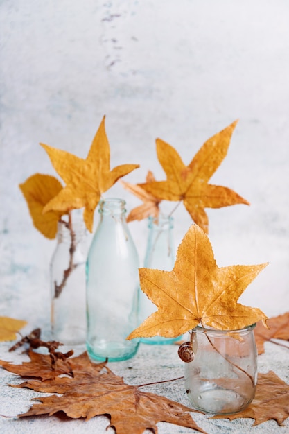 Autumn still life with glass bottles and leaves