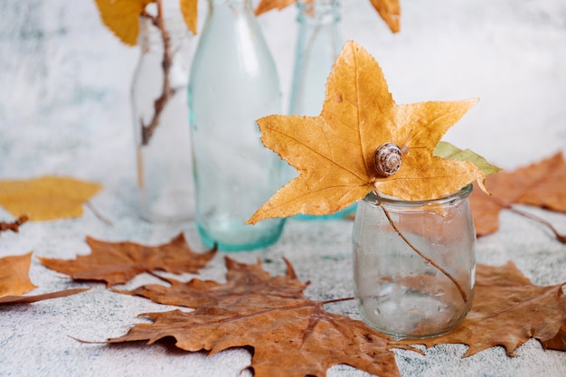 Autumn still life with glass bottles and leaves