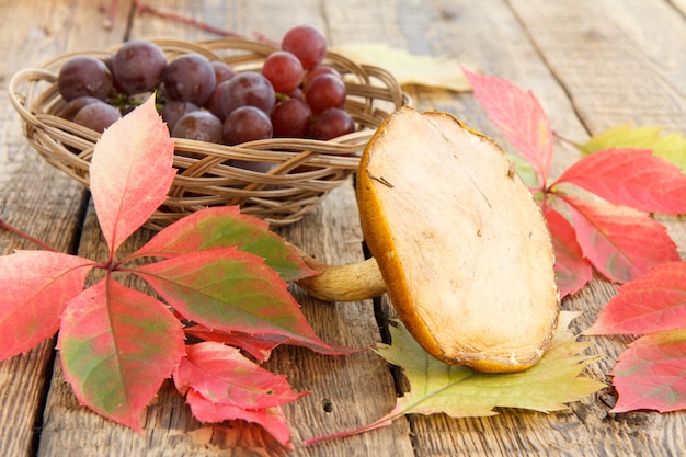 Autumn still life with mushroom, grapes in wicker basket, green, yellow and red leaves on wooden boards