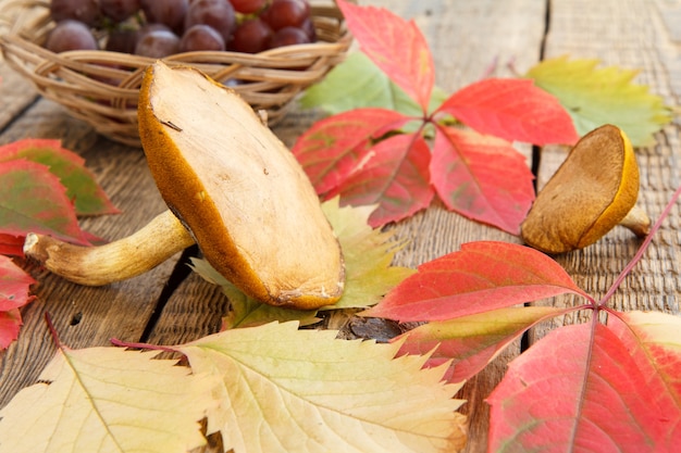 Осенний натюрморт с грибами, виноградом в плетеной корзине, зелеными, желтыми и красными листьями на деревянных досках