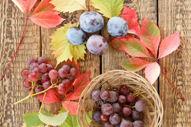 Autumn still life with plums, grapes and wicker basket, green, yellow and red leaves on wooden boards