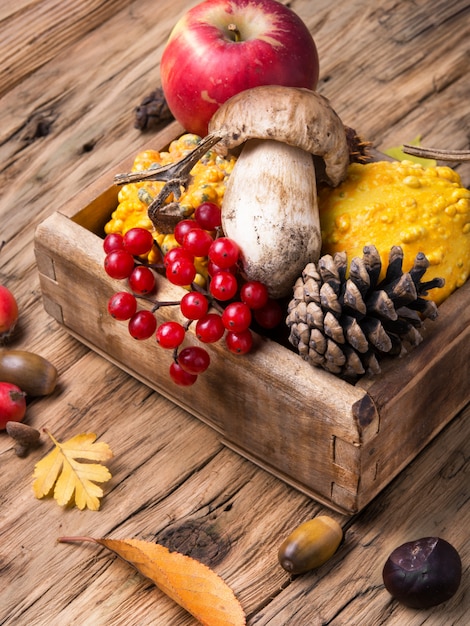 Autumn still life with pumpkin, apple, mushrooms