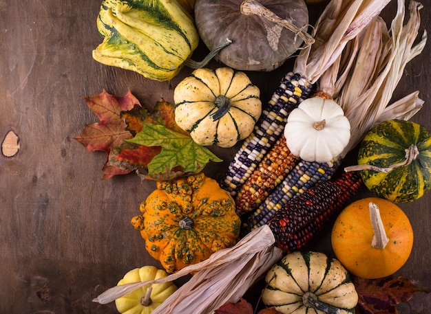 Autumn still life with pumpkin