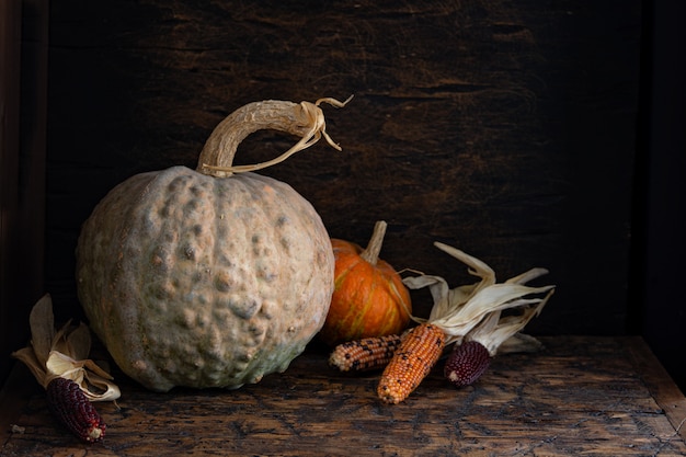 Foto di autunno vita ancora con zucche e mais sul vecchio tavolo di legno.