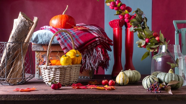 Autumn still life with pumpkins and plaids