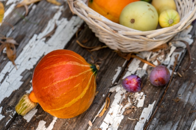 Autumn still life with pumpkins, plums and zucchinis