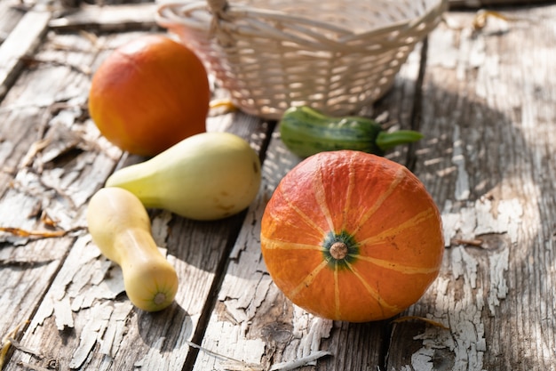 Autumn still life with pumpkins and zucchinis on the old shabby wooden boards