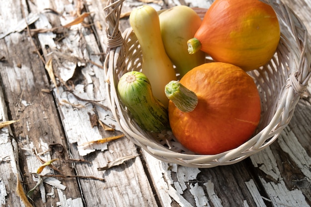 Autumn still life with pumpkins and zucchinis on the old shabby wooden boards