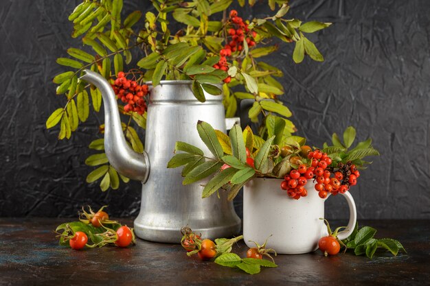 Autumn still life with rowan