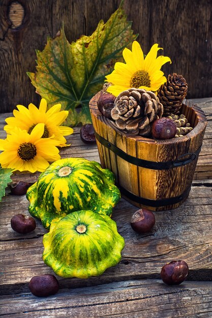 Photo autumn still life with squash