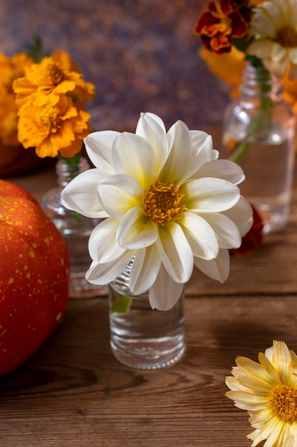 Autunno ancora in vita con zucche bianche di fiori dahlia e foglie d'arancio fiori freschi da giardino in vaso di vetro concetto astratto di scena autunnale