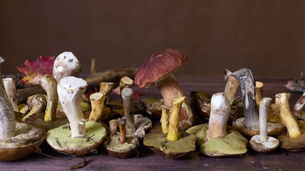 Autumn still life with wild mushrooms