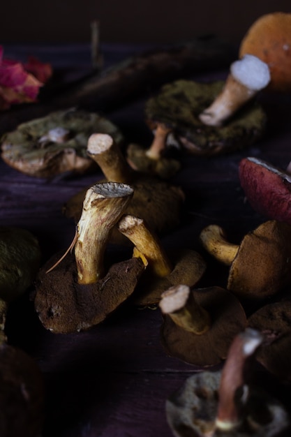 Autumn still life with wild mushrooms