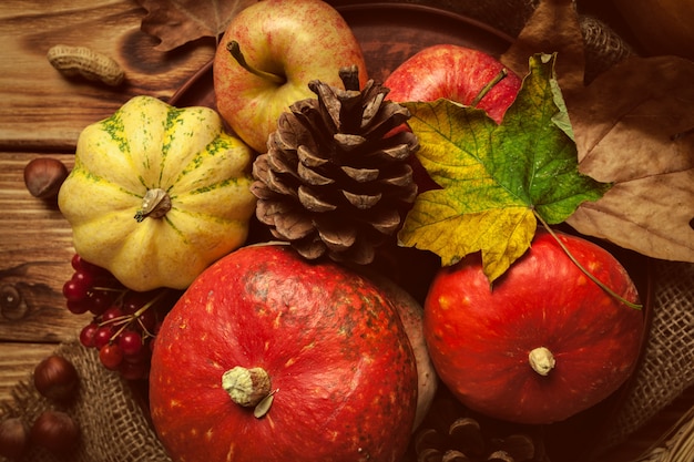 Autumn still life