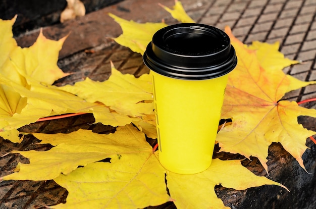 秋の通りの静物：大きな黄色のカエデの葉に黒いプラスチックの蓋が付いた黄色の段ボールのコーヒーカップ。