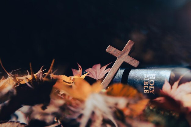 Photo autumn sunlight and maple leaves the holy cross of jesus christ and the bible