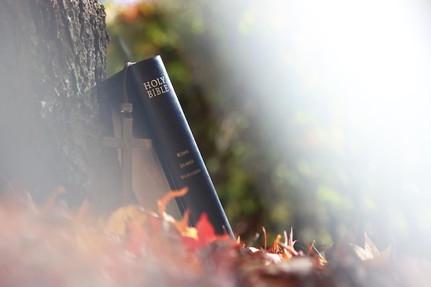 Photo autumn sunlight and maple leaves the holy cross of jesus christ and the bible