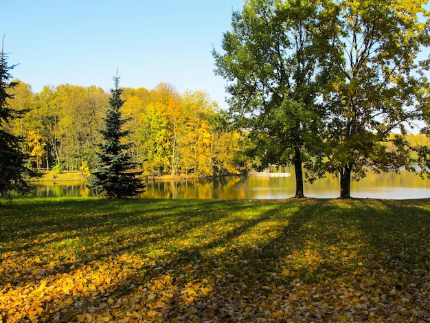 Осенний солнечный парк с красивым озером Яркие цветные деревья отражаются в воде озера