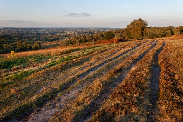 Autumn sunshine verlicht het ashdown forest