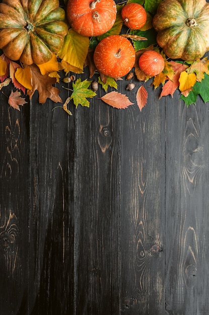 Autumn surface with pumpkins, autumn leaves, hops and oak acorns lying on a black wooden surface