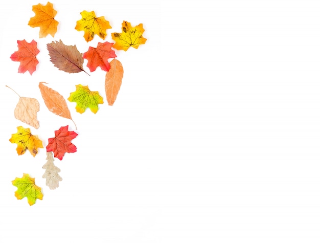 カボチャ、葉と秋の表面